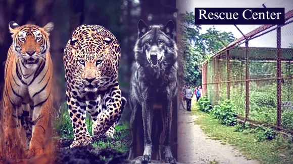 rescue centre