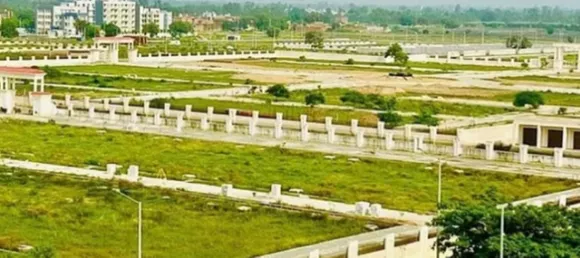 वाईवीएन