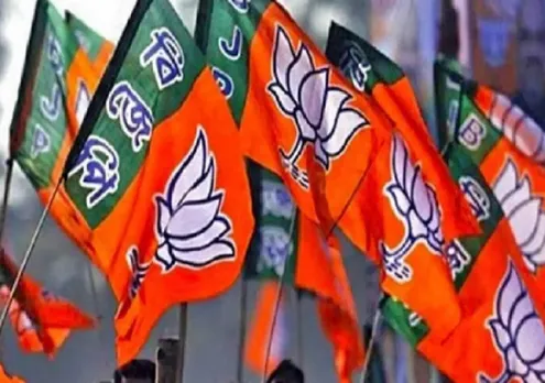 बीजेपी झंडा