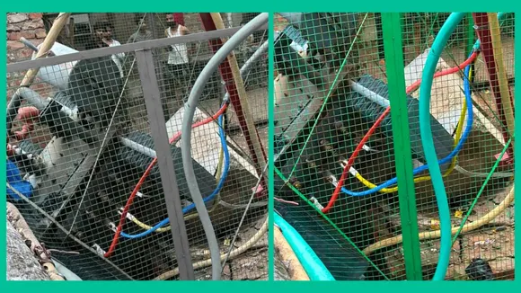 transformer fell down due collapse platform