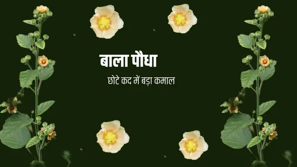 Your paragraph text (3)