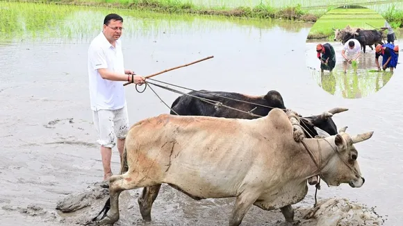 pushkar dhami (1)