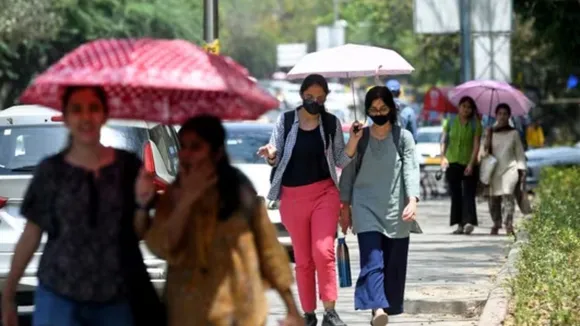 dhoop