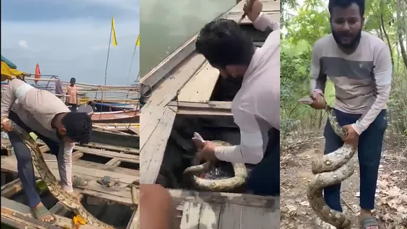 python