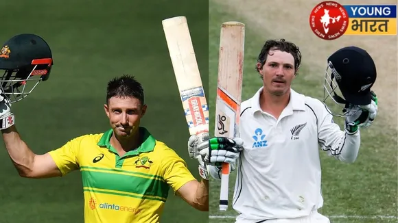 cricket