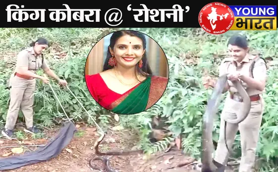 किंग कोबरा के सामने डटी रही ‘रोशनी’ – जानिए — क्या हुआ उस 3 मिनट की जंग में! | यंग भारत न्यूज