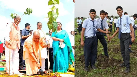 plant 1