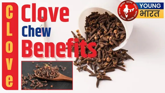 clove Chew benefits