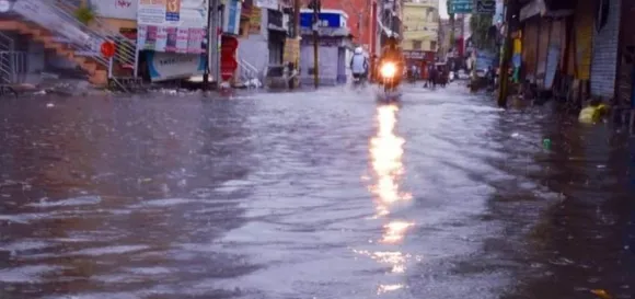 वाईवीएन