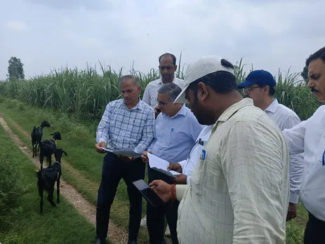 विलोपन के लिए चिन्हित ग्राम सतवाँ खुर्द में पेड़ी प्लाट का निरीक्षण करते अपर गन्ना आयुक्त वीके शुक्ला