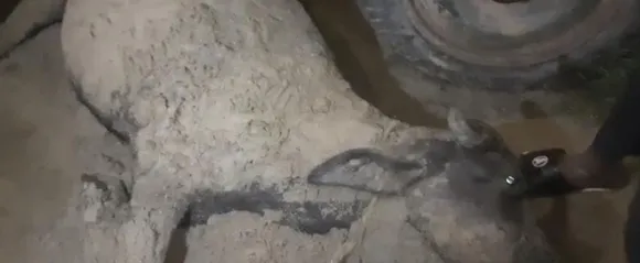 वाईवीएन