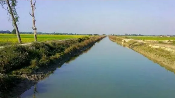 nadi
