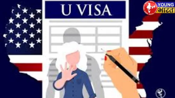 U- Visa