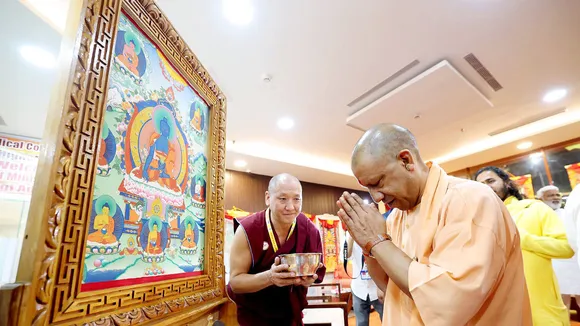yogi v