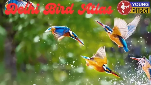 _Delhi  birds Atlas