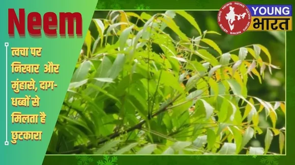 Neem Banefites