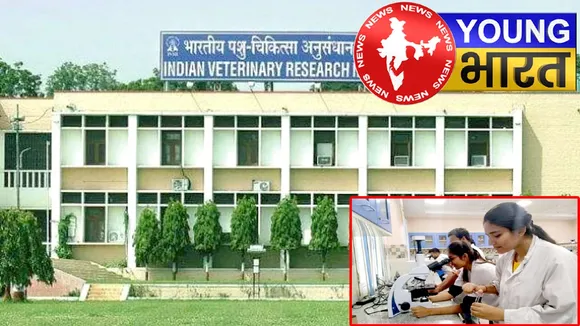 14 साल में बना ऐसा गोंद, जो जोड़ देगा टूटी हड्डियां – जानें कैसे करता है काम? | यंग भारत न्यूज