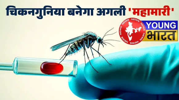 इतनी तेजी से क्यों फैल रहा है चिकनगुनिया? WHO की रिपोर्ट में छुपे हैरान करने वाले संकेत! | यंग भारत न्यूज