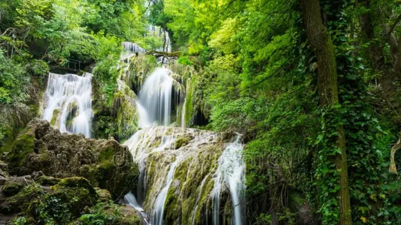 Untitled design (53)