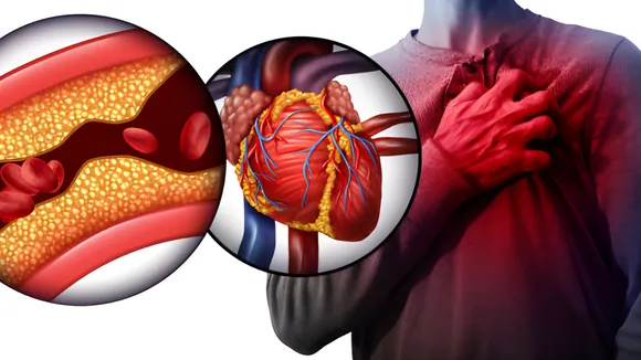 Untitled design - 2025-08-02T103832.818