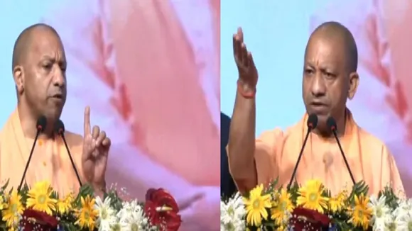 yogi cm df