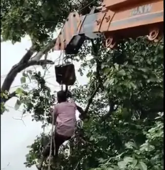 वाईवीएन