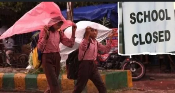 वाईवीएन