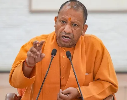 वाईवीएन