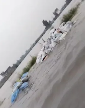 वाईवीएन