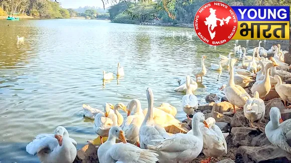 दिल्ली में मानसून का जादू : प्राकृतिक की सुंदरता, यहां का मानसून ट्रिप जीत लेगा आपका दिल | यंग भारत न्यूज