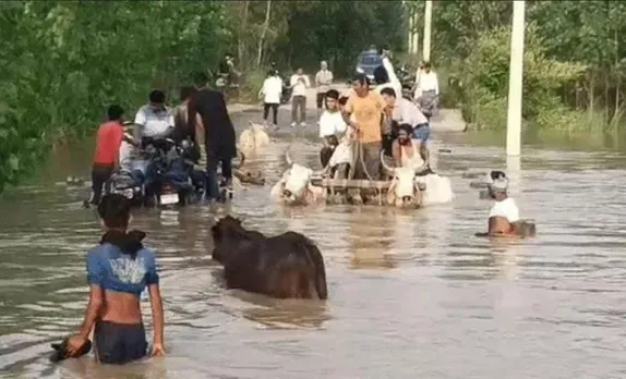 वाईवीएन