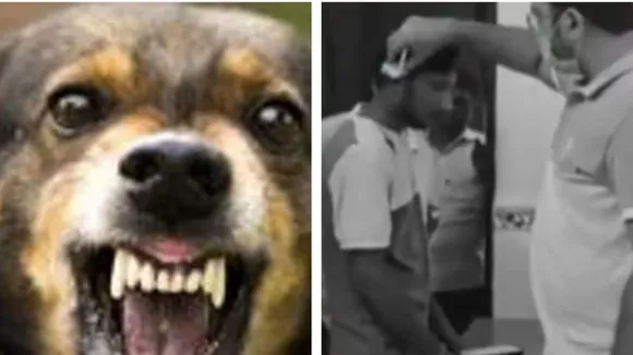 Bihar Dog