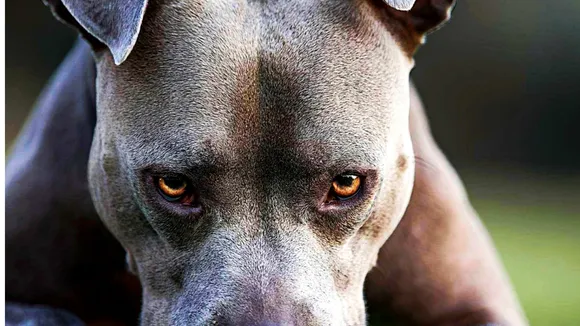 Untitled design (57)