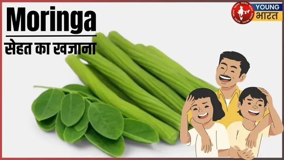 Moringa Health buster