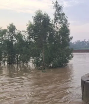 वाईवीएन