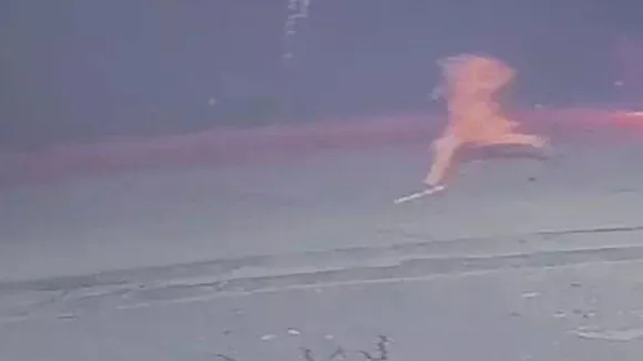 Bahadurpur Rape Case