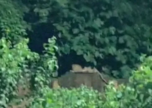 वाईवीएन