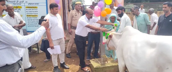 वाईवीएन