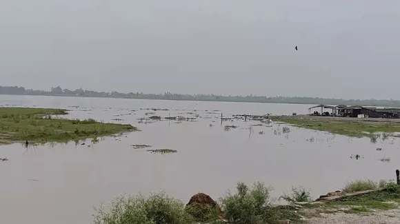 वाईवीएन