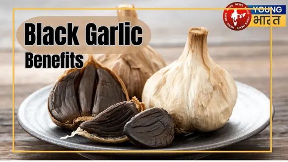 Black Garlic