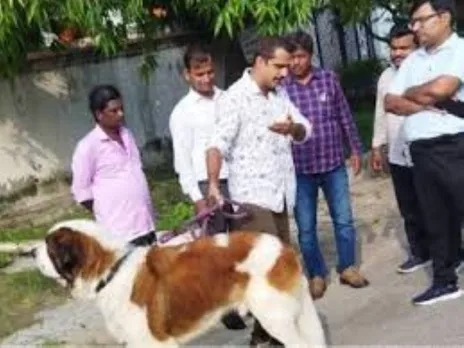 वाईबीएन