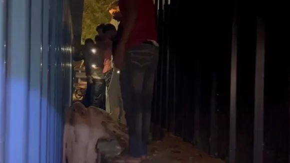 वाईबीएन