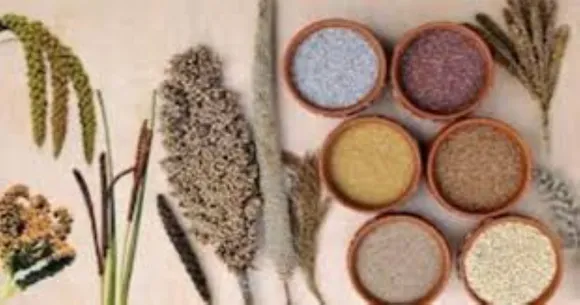 वाईबीएन