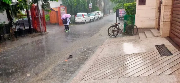 वाईबीएन