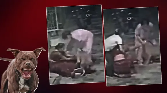 pitbull attach women jhansi