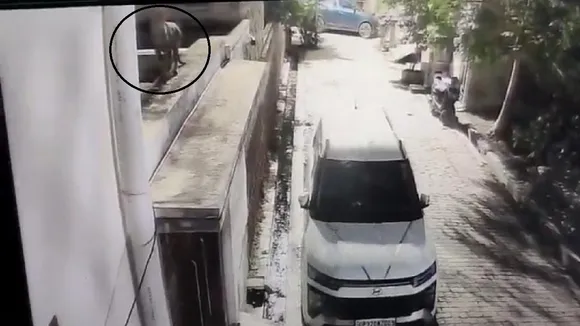 Lucknow Leopard Scare