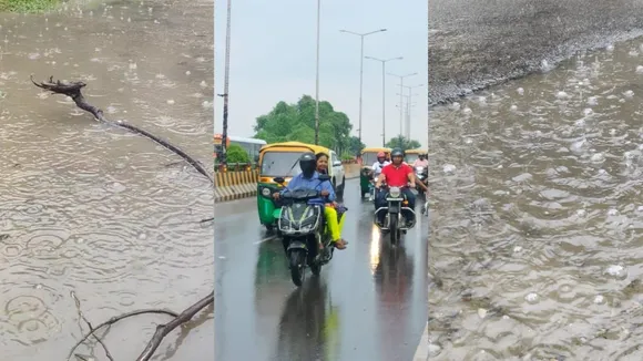 वाईबीएन