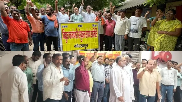 electricity privatisation