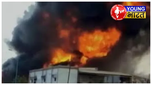 BeFunky-collage - 2025-09-14T111240.688