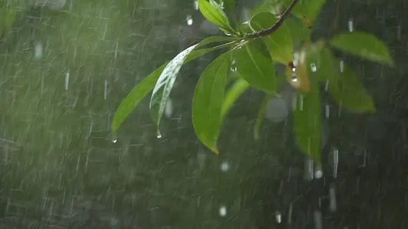 rain in lucknow